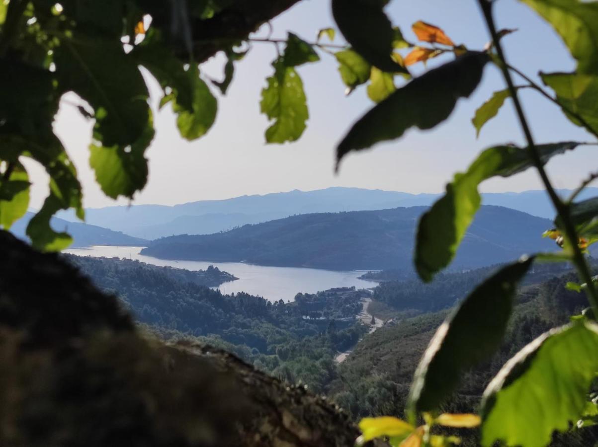 Vivenda das Carvalhas Amiar Exterior foto